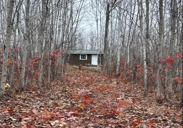 1st image of Xxx Mt Nelson Rd, Mahtowa, MN 55707 | MLS# 7094853