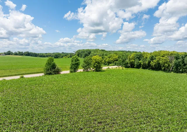 Homes for sale in Kilkenny, MN | Xxx 165th Ave, Kilkenny, MN 56052 | MLS# 7094964