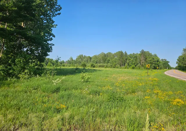 Homes for sale in Crosby, MN | 21048 County Road 36, Crosby, MN 56441 | MLS# 7095134