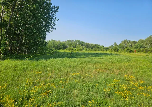 Homes for sale in Crosby, MN | 21048 County Road 36, Crosby, MN 56441 | MLS# 7095134
