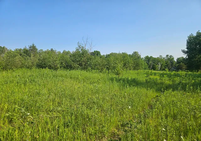 Homes for sale in Crosby, MN | Tbd County Road 36, Crosby, MN 56441 | MLS# 7095135