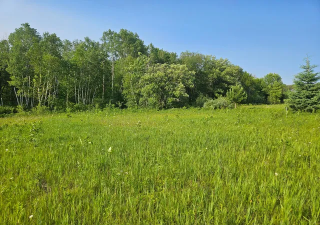Homes for sale in Crosby, MN | Tbd County Road 36, Crosby, MN 56441 | MLS# 7095135