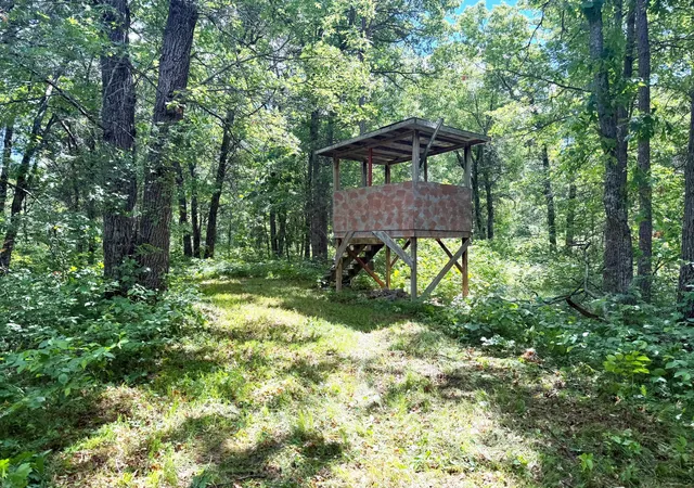 Homes for sale in Danbury, WI | Tbd 39ac North River Rd, Danbury, WI 54830 | MLS# 7095236
