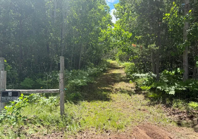 Homes for sale in Danbury, WI | Tbd-39Ac North River Rd, Danbury, WI 54830 | MLS# 7095236