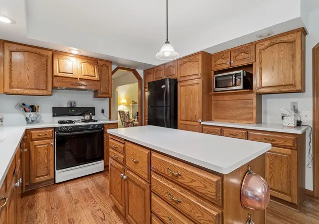 Homes for sale in Stillwater, MN | 303 Hazel St W, Stillwater, MN 55082 | MLS# 7095254