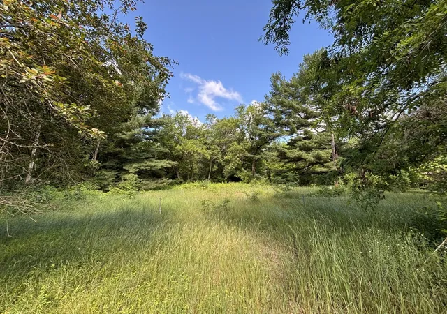 Photo 1 of Land for sale at 39088 8th Avenue, North Branch, MN 55056 | MLS# 7095457 | Listing updated on 2026-06-24
