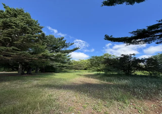 Photo 3 of Land for sale at 39088 8th Avenue, North Branch, MN 55056 | MLS# 7095457 | Listing updated on 2026-06-24