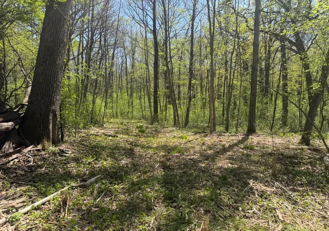 Homes for sale in Balsam Lake, WI | Xxx State Hwy 46, Balsam Lake, WI 54810 | MLS# 7095488