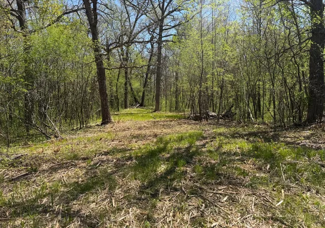 Homes for sale in Balsam Lake, WI | Xxx State Hwy 46, Balsam Lake, WI 54810 | MLS# 7095488