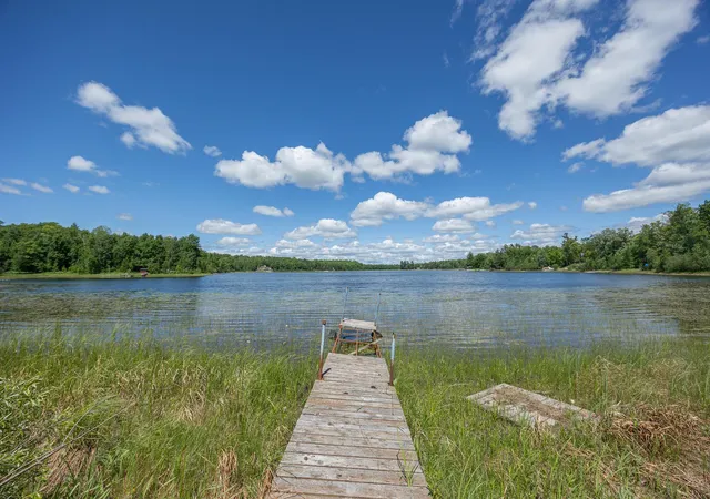 1st image of Tbd State Hwy 84, Longville, MN 56655 | MLS# 7095563