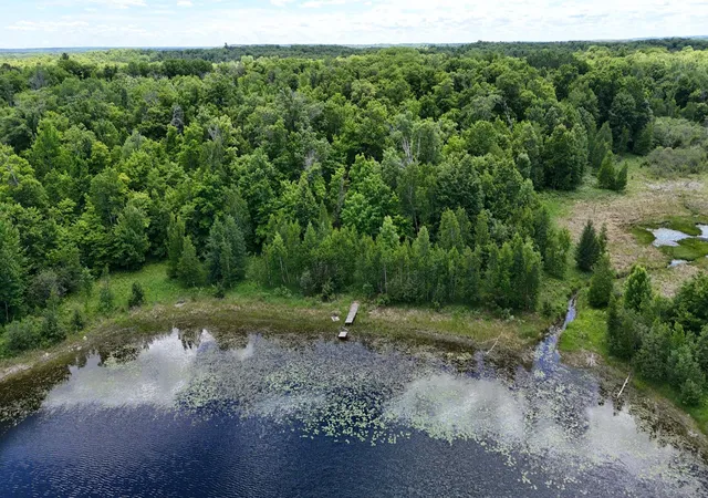 24th image of Tbd State Hwy 84, Longville, MN 56655 | MLS# 7095563