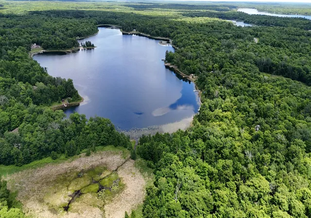 2nd image of Tbd State Hwy 84, Longville, MN 56655 | MLS# 7095563