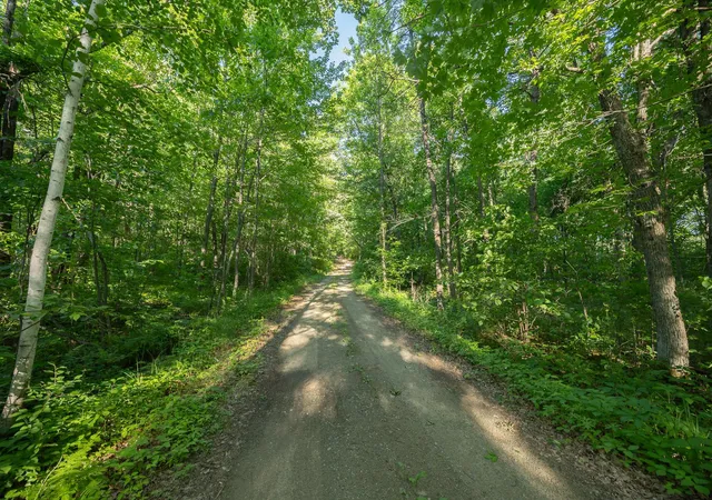 Photo 3 of Land for sale at Tbd State Hwy 84, Longville, MN 56655 | MLS# 7095563 | Listing updated on 2026-07-29