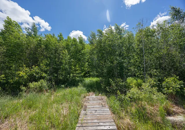 Photo 3 of Land for sale at Tbd State Hwy 84, Longville, MN 56655 | MLS# 7095563 | Listing updated on 2026-07-29