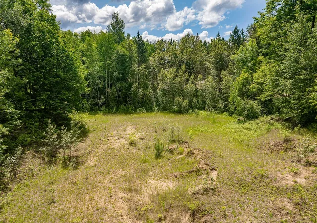 5th image of Lot B County Rd 238, Deer River, MN 56636 | MLS# 7095806