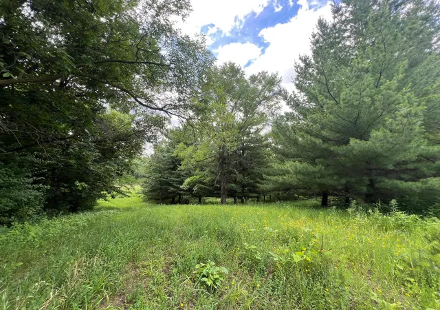 Homes for sale in Webster, MN | Tbd 50th St W, Webster, MN 55088 | MLS# 7095809