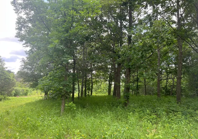 Homes for sale in Webster, MN | Tbd 50Th St W, Webster, MN 55088 | MLS# 7095809