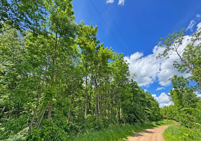 Homes for sale in Crosby, MN | 0000 Perry Lake Rd, Crosby, MN 56441 | MLS# 7095906