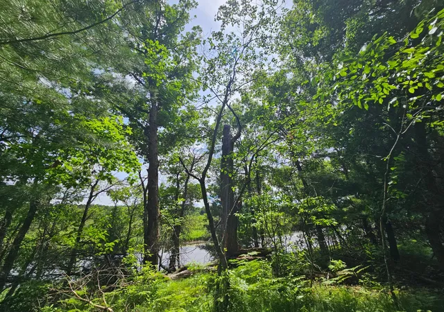 2nd image of Lot 1 Gaslyn Rd, Webster, WI 54893 | MLS# 7095956