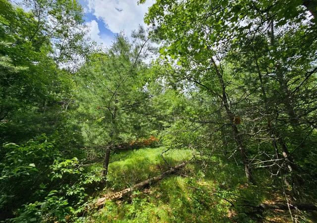 5th image of Lot 1 Gaslyn Rd, Webster, WI 54893 | MLS# 7095956