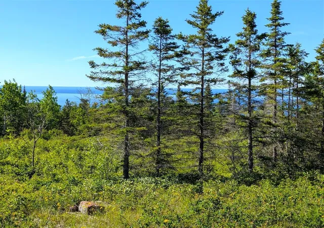 1st image of 44xx North Road, Hovland, MN 55606 | MLS# 7095992