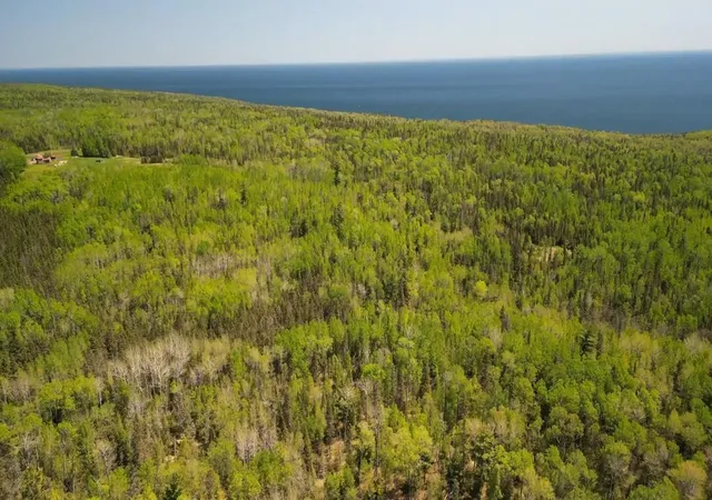 Photo 3 of Land for sale at 44xx North Rd, Hovland, MN 55606 | MLS# 7095992 | Listing updated on 2026-07-27