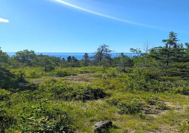 Photo 3 of Land for sale at 44xx North Rd, Hovland, MN 55606 | MLS# 7095992 | Listing updated on 2026-07-27
