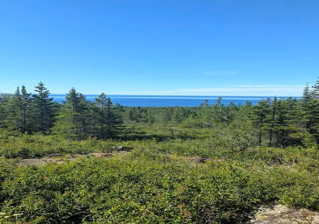 Photo 4 of Land for sale at 44xx North Rd, Hovland, MN 55606 | MLS# 7095992 | Listing updated on 2026-07-27