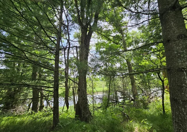 2nd image of Lot 2 Gaslyn Rd, Webster, WI 54893 | MLS# 7096004