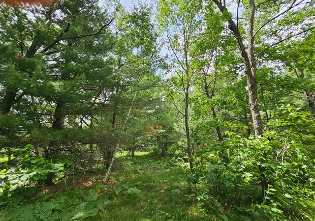 5th image of Lot 2 Gaslyn Rd, Webster, WI 54893 | MLS# 7096004