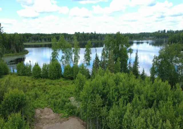 1st image of Tbd65 Moose Lake Rd, Duluth, MN 55803 | MLS# 7096046
