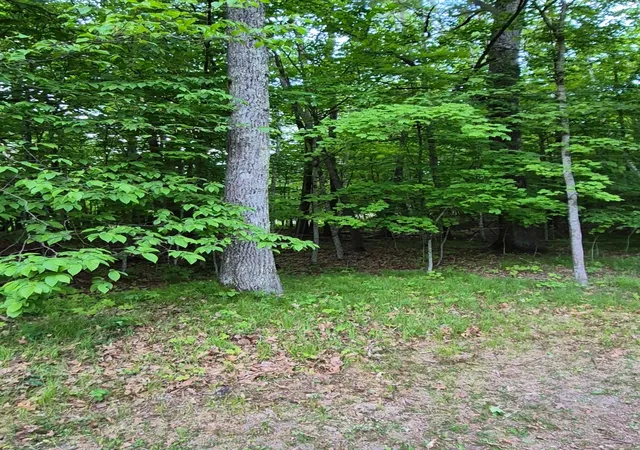 Homes for sale in Mc Gregor, MN | Tbd, Lots 310, 353, And 354 195th Pl, Mc Gregor, MN 55760 | MLS# 7096050