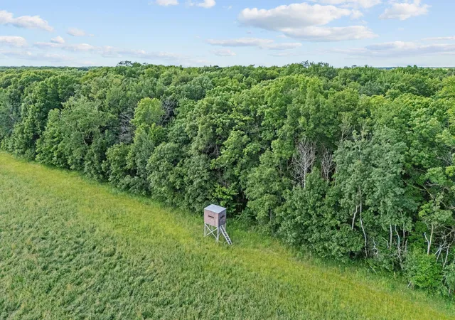 46th image of 33750 175th St Ne, Foley, MN 56329 | MLS# 7096074