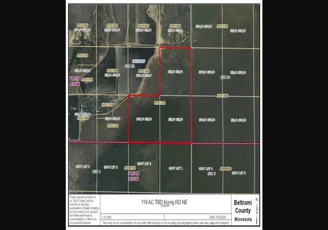 1st image of Tbd Konig Rd Ne, Waskish, MN 56685 | MLS# 7096240