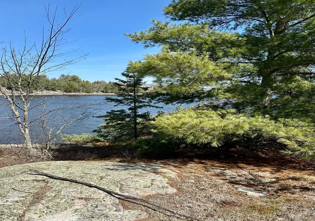 Homes for sale in Kabetogama, MN | Tbd Kabetogama Lake W, Kabetogama, MN 56669 | MLS# 7096264