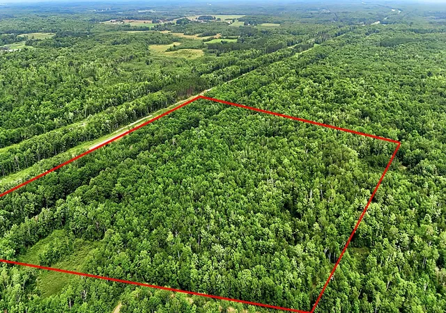 1st image of Tbd Taylor Birch Rd, Sandstone, MN 55037 | MLS# 7096276