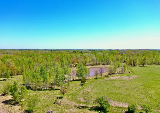 Homes for sale in Hinckley, MN | Na Dove Rd, Hinckley, MN 55037 | MLS# 7096532