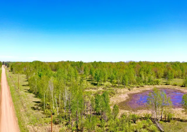 Homes for sale in Hinckley, MN | Na Dove Rd, Hinckley, MN 55037 | MLS# 7096532