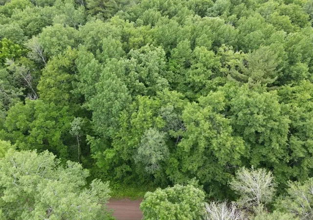 Photo 1 of Land for sale at Lot 5 Wilderness Retreat, Pine City, MN 55063 | MLS# 7096585 | Listing updated on 2026-08-11