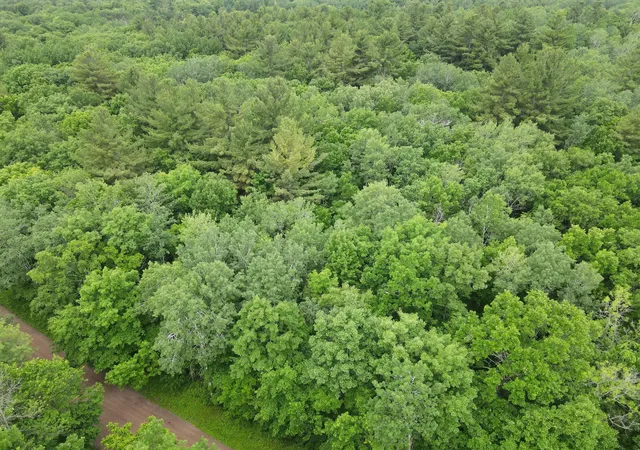 2nd image of Lot 2 Wilderness Retreat, Pine City, MN 55063 | MLS# 7096585