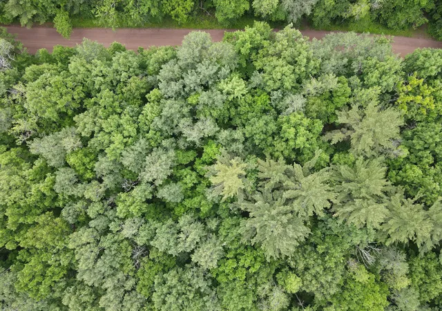 3rd image of Lot 2 Wilderness Retreat, Pine City, MN 55063 | MLS# 7096585