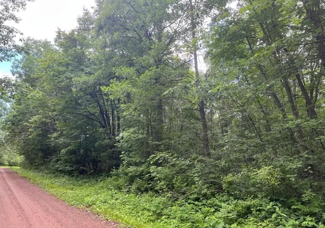 Photo 3 of Land for sale at Lot 5 Wilderness Retreat, Pine City, MN 55063 | MLS# 7096585 | Listing updated on 2026-08-11