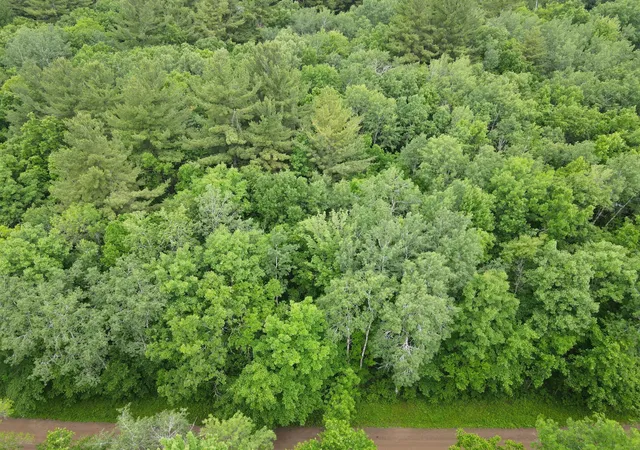 4th image of Lot 2 Wilderness Retreat, Pine City, MN 55063 | MLS# 7096585