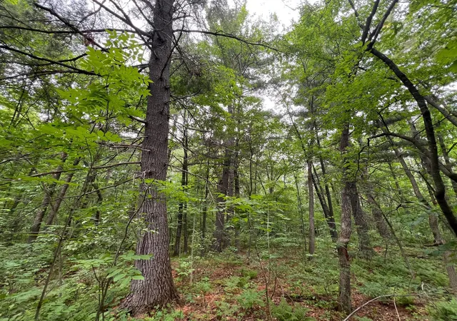5th image of Lot 2 Wilderness Retreat, Pine City, MN 55063 | MLS# 7096585