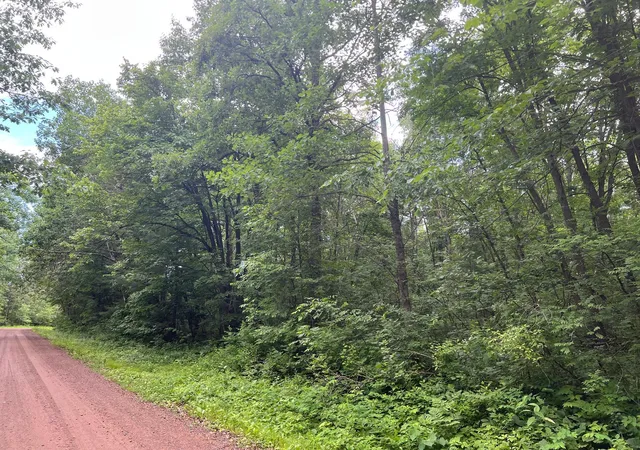 15th image of Lot 5 Wilderness Retreat, Pine City, MN 55063 | MLS# 7096588