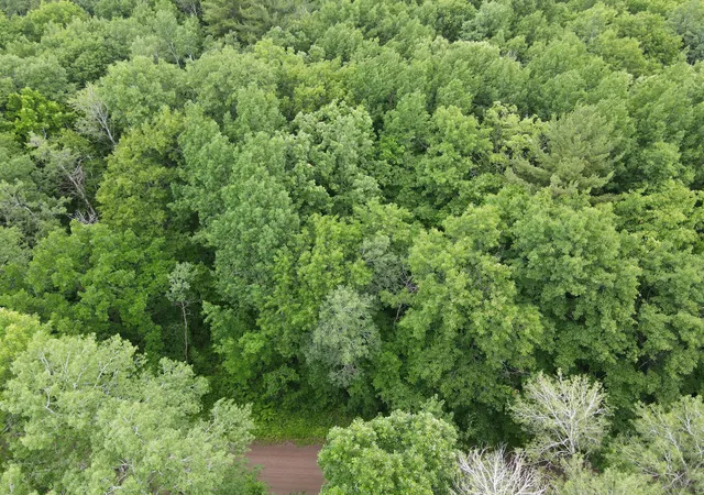 1st image of Lot 5 Wilderness Retreat, Pine City, MN 55063 | MLS# 7096588