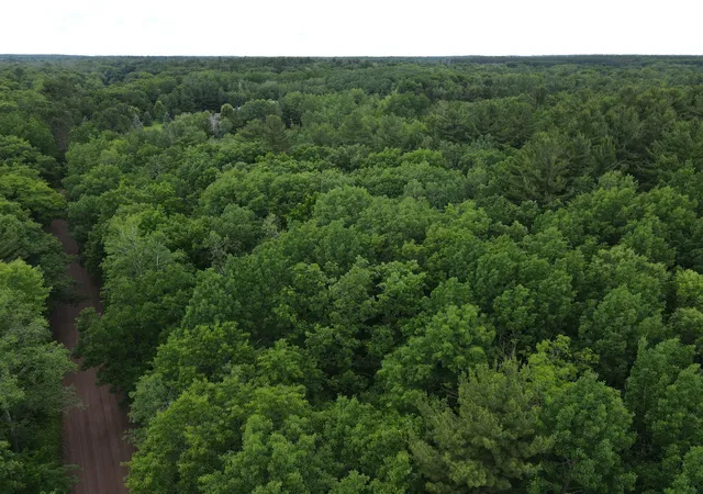 4th image of Lot 5 Wilderness Retreat, Pine City, MN 55063 | MLS# 7096588