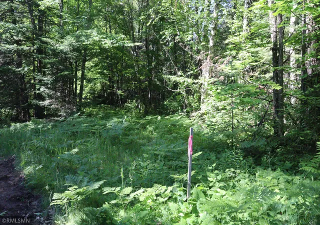 2nd image of Tbd Sawmill Rd, Kerrick, MN 55756 | MLS# 7096663