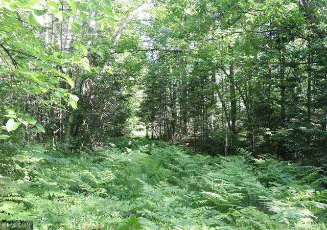 3rd image of Tbd Sawmill Rd, Kerrick, MN 55756 | MLS# 7096663