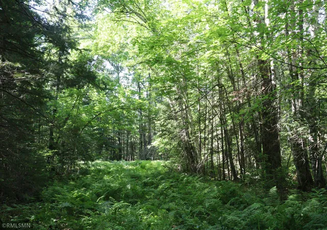 4th image of Tbd Sawmill Rd, Kerrick, MN 55756 | MLS# 7096663